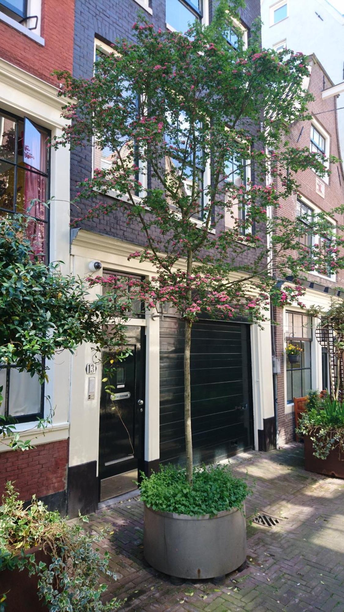 Huis Roomolen Amsterdam Exteriör bild